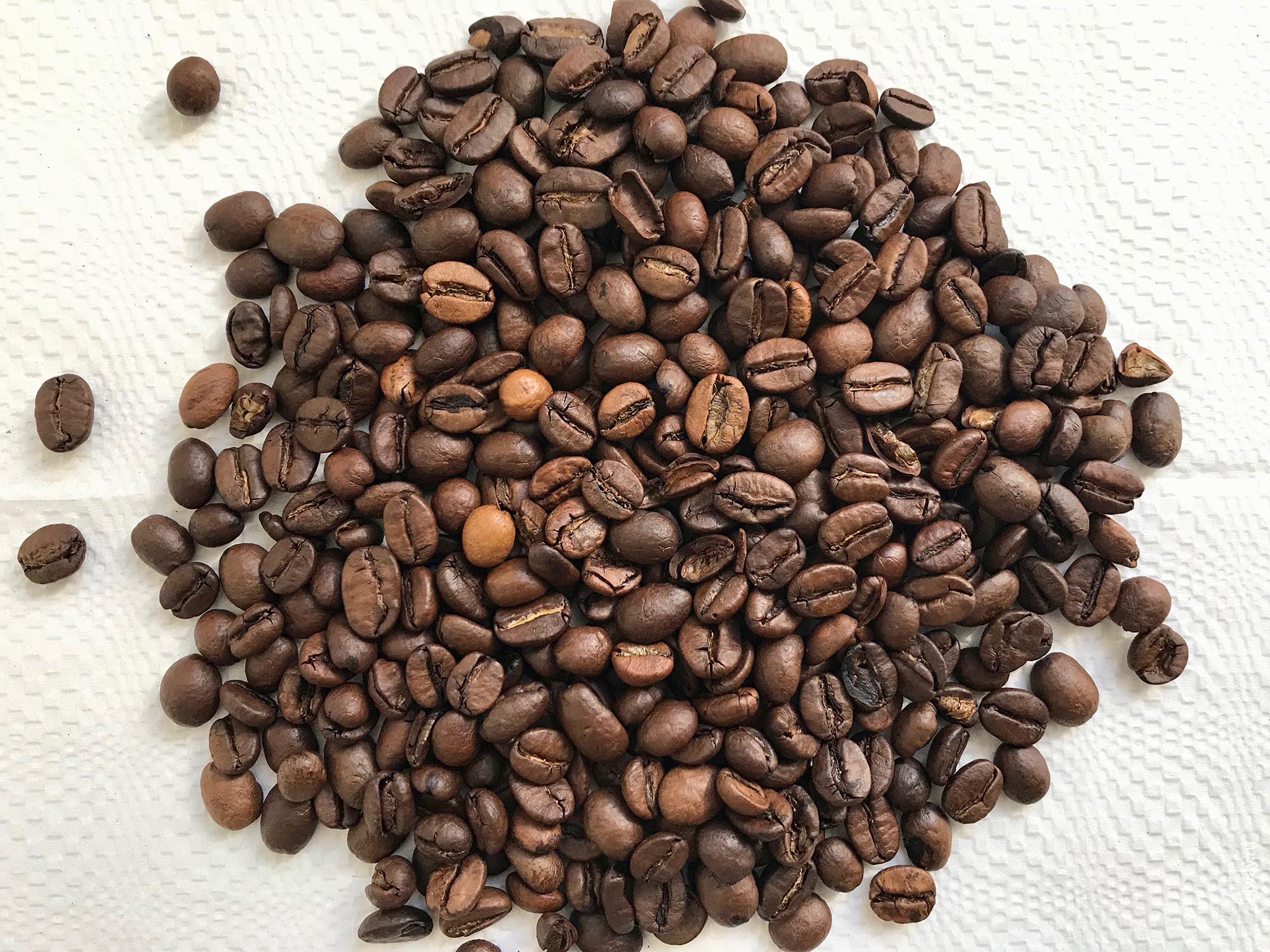 Россия, Адлер, Espresso. Barabas, ejway.ru, зерна