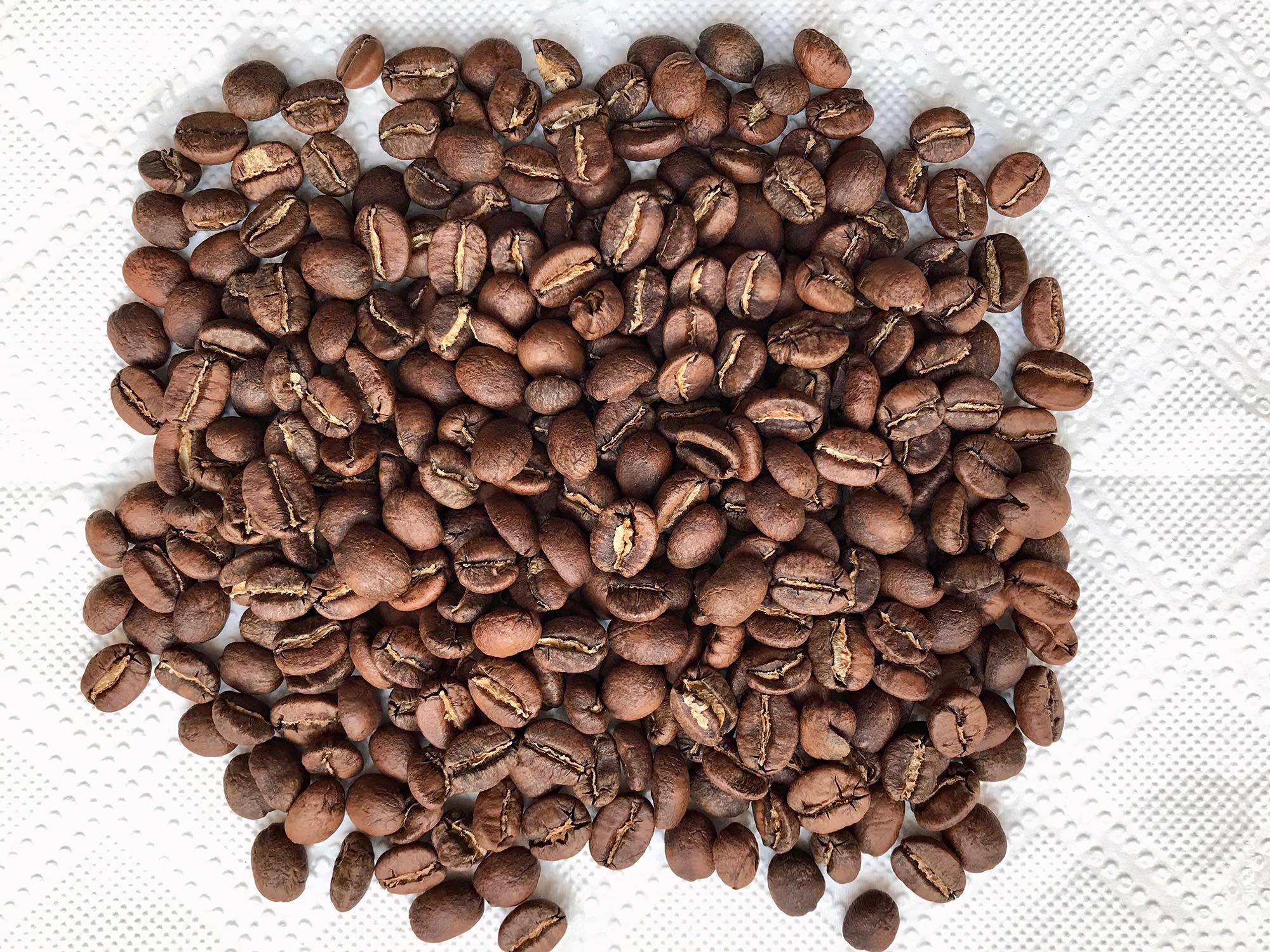 Россия, Москва, Kenya AA Baragwi Guama. Surf coffee, ejway.ru, зерна