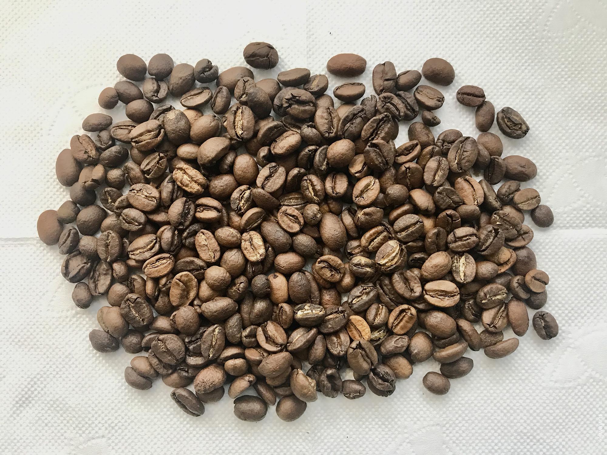 Россия, Мурманск, StartUp Coffee. Yirgacheffe, ejway.ru, зерна