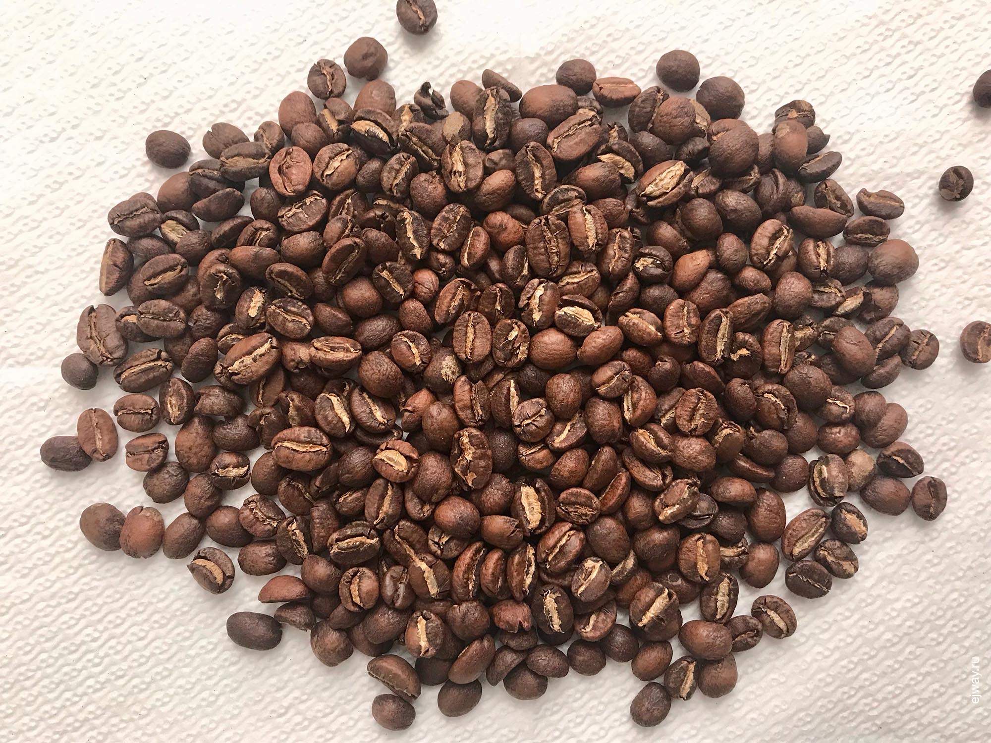 Россия, Адлер, Эфиопия Ададо. Surf Coffee, ejway.ru, зерна