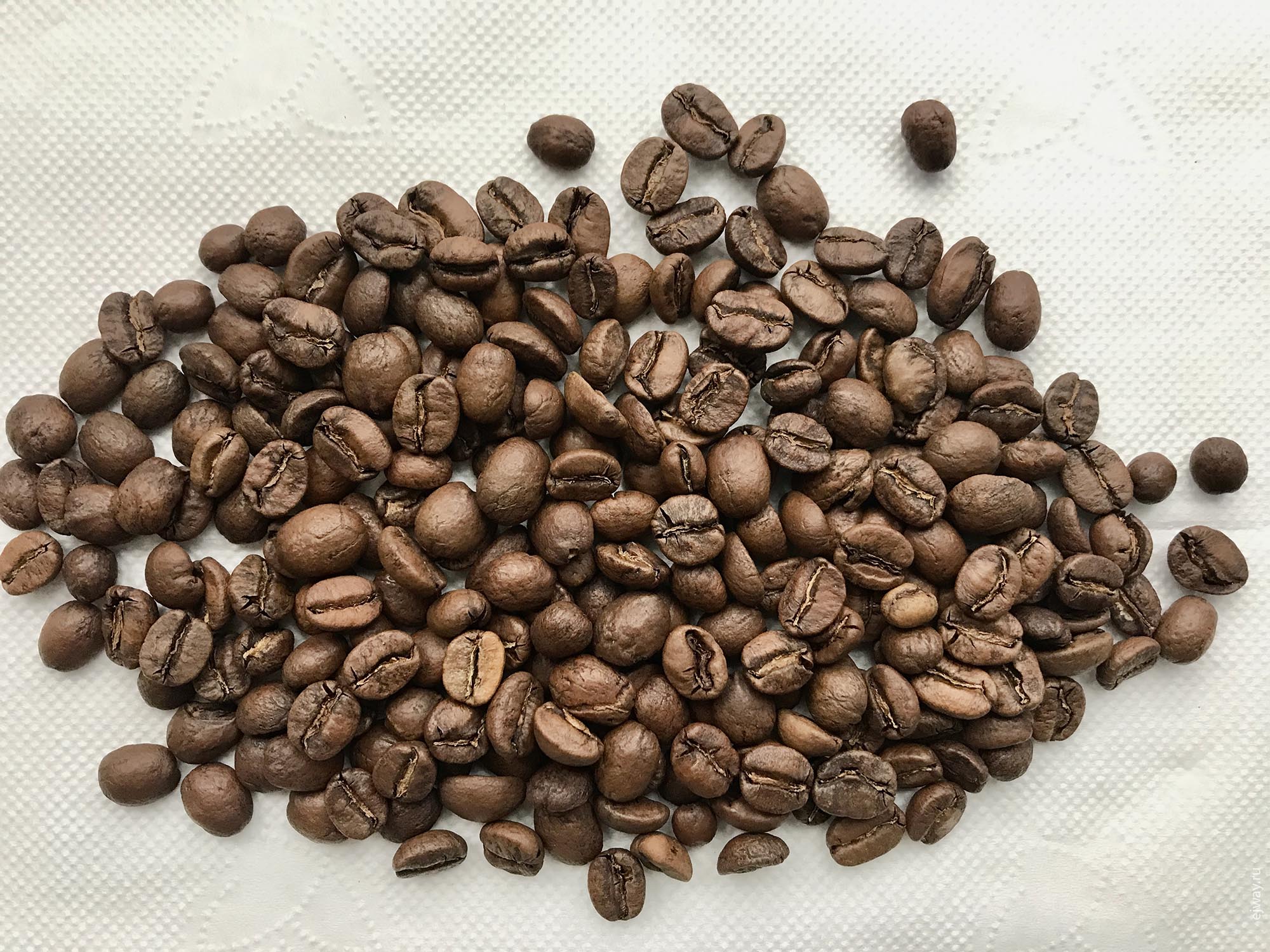 Россия, Мурманск, Surf Coffee. Costa-Rica San Rafael, ejway.ru, зерна