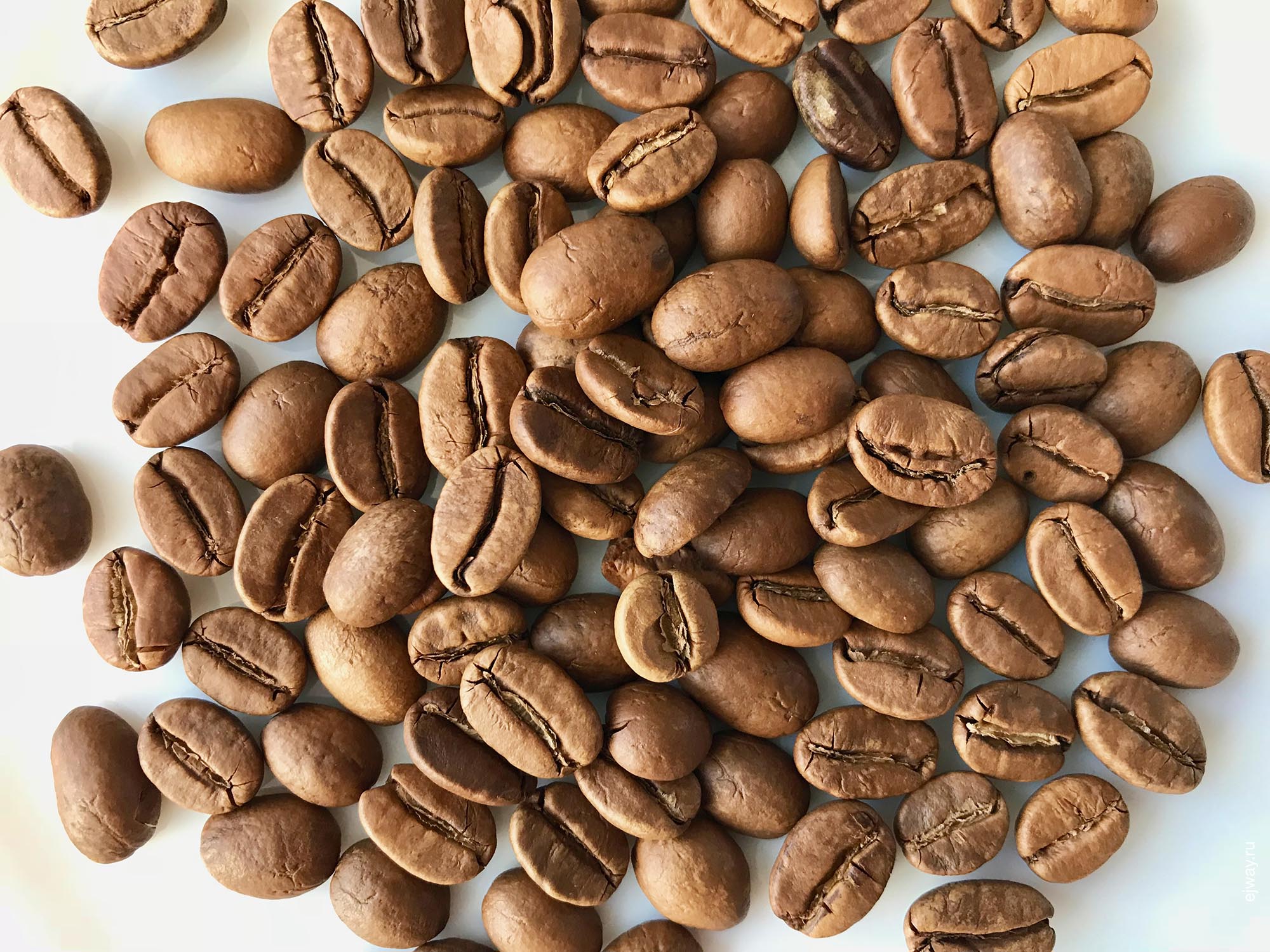 Москва, Пакамара. Индия. Муссон. Tasty coffee, ejway.ru, зерна