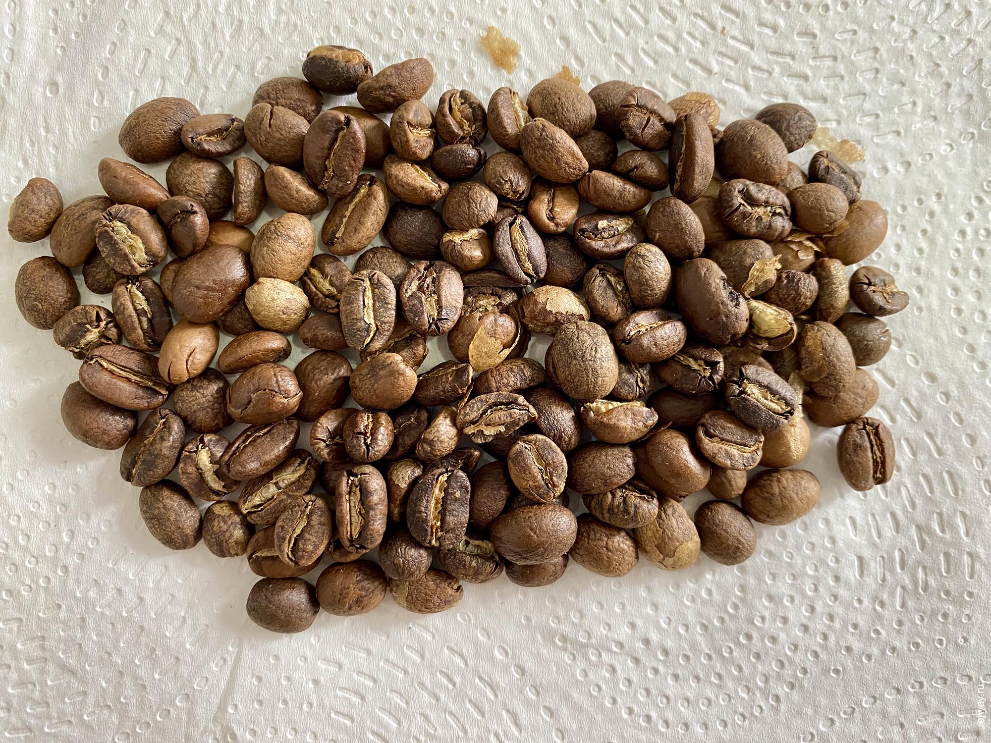 Испания, Аликанте, Etiopia. Sidamo. Madnesscoffee, зерна