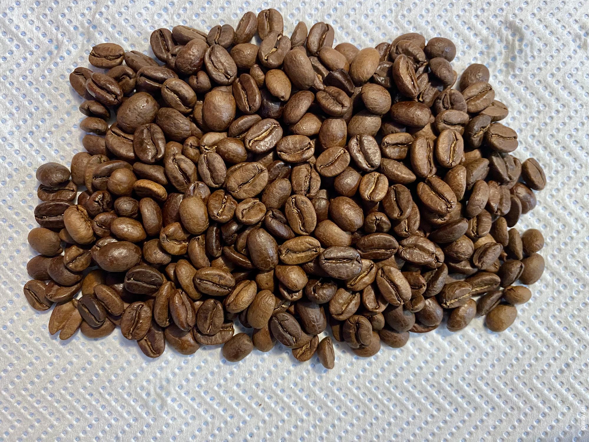 Франция, Париж, Manel Matta. Colombie. The beans on fire, зерна