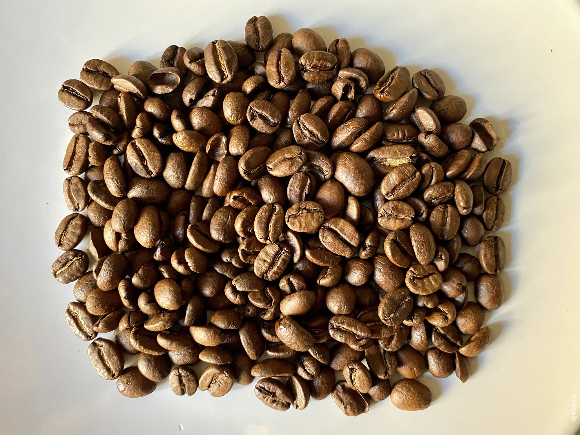 Италия, Милан, кофе, Mamma Mia. Coffee lovers, ejway.ru, зерна