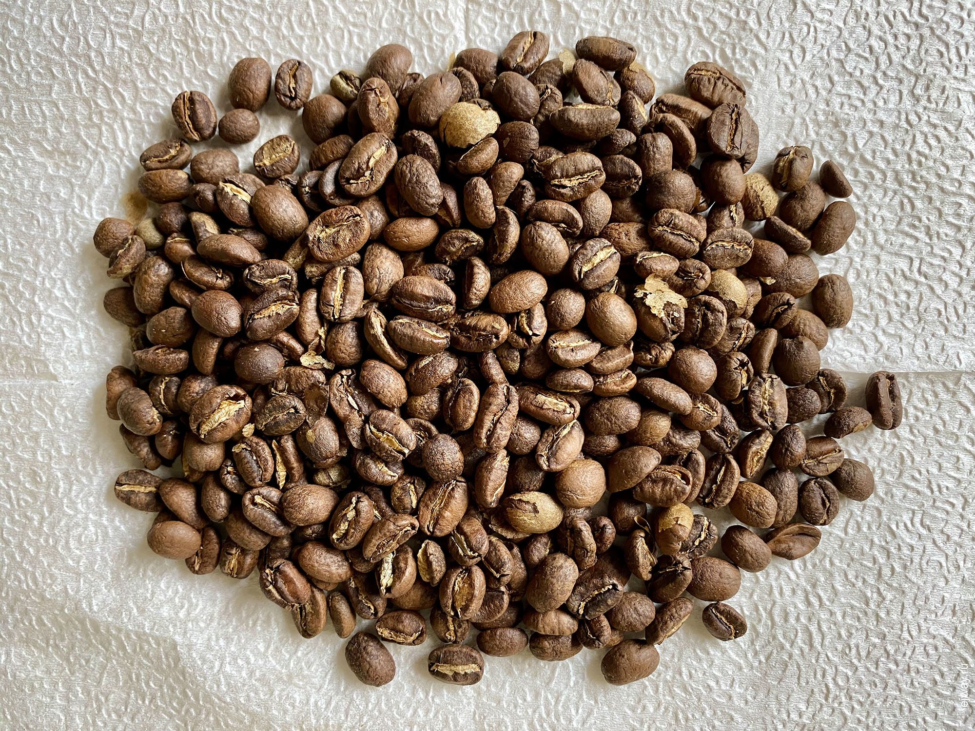 Россия, Санкт-Петербург, Ethiopia. Banco Gotete. Coffee scout, ejway.ru, зерна
