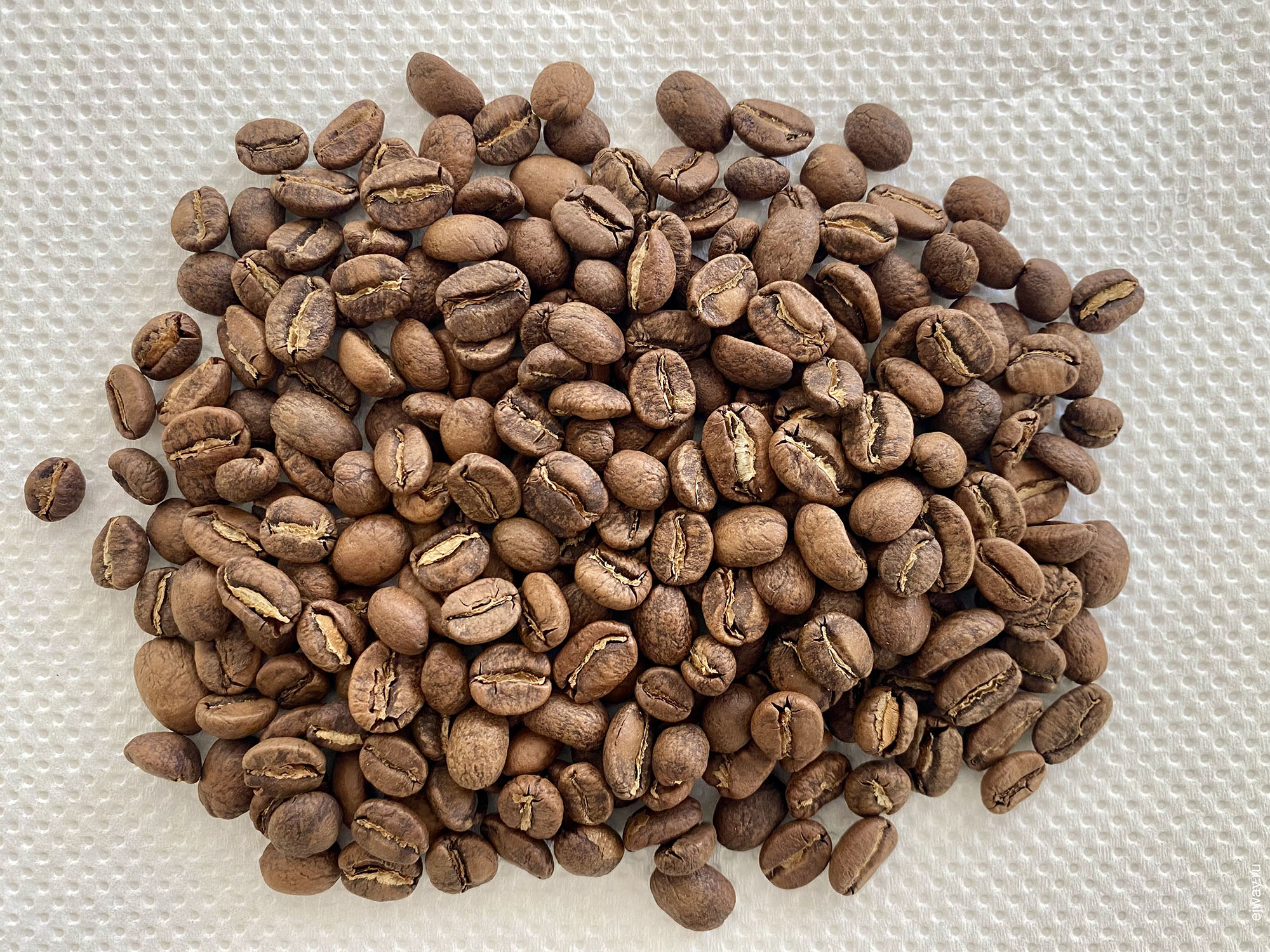 Хорватия, Дубровник, кофе, Peru. Alto Ihuamaca, Cogito coffee, ejway.ru, зерна