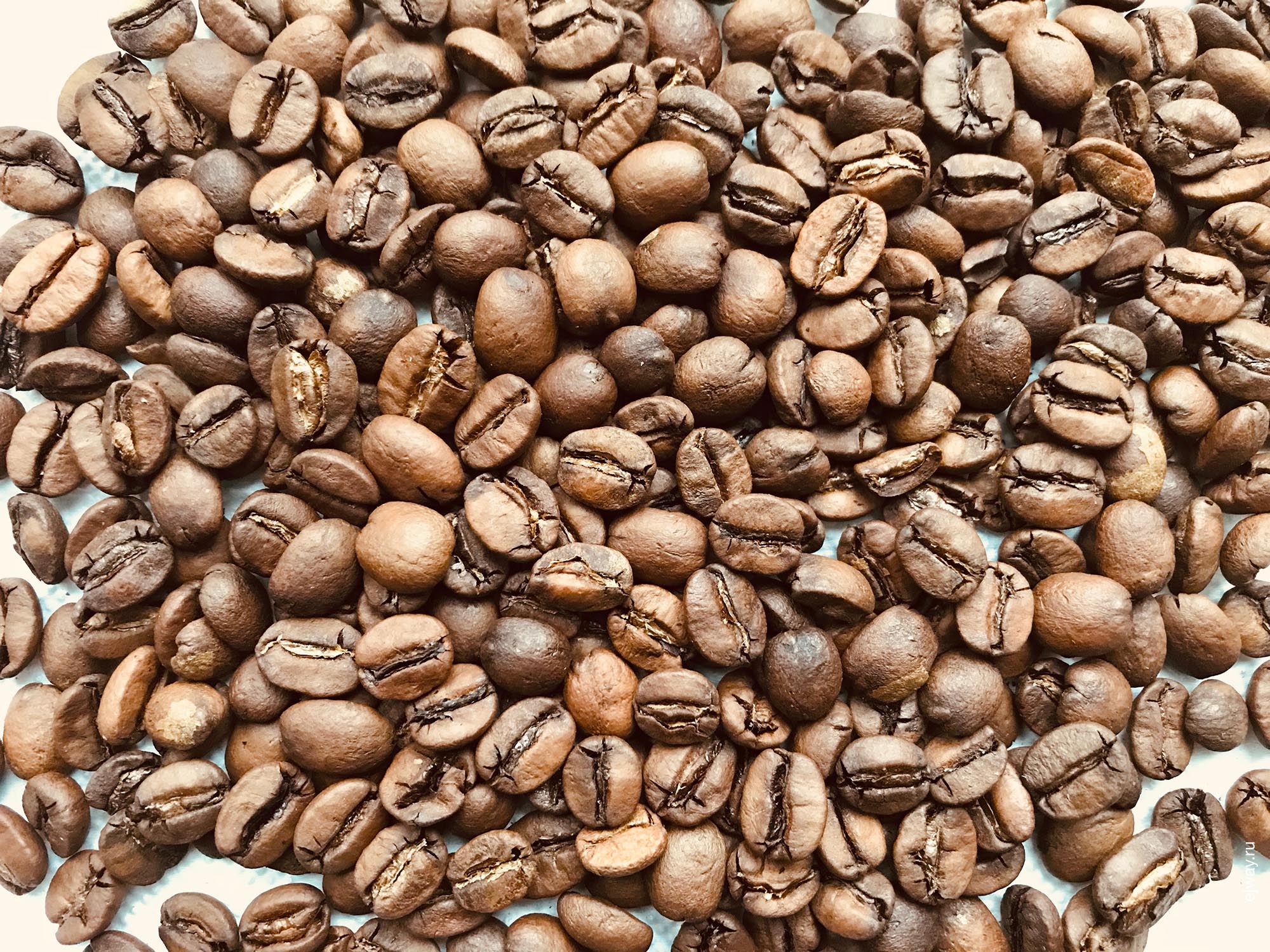 Россия, Екатеинбург, Brasilia Ipanema Estates Dulce NY2 FC. Gudmen Coffee, ejway.ru, зерна