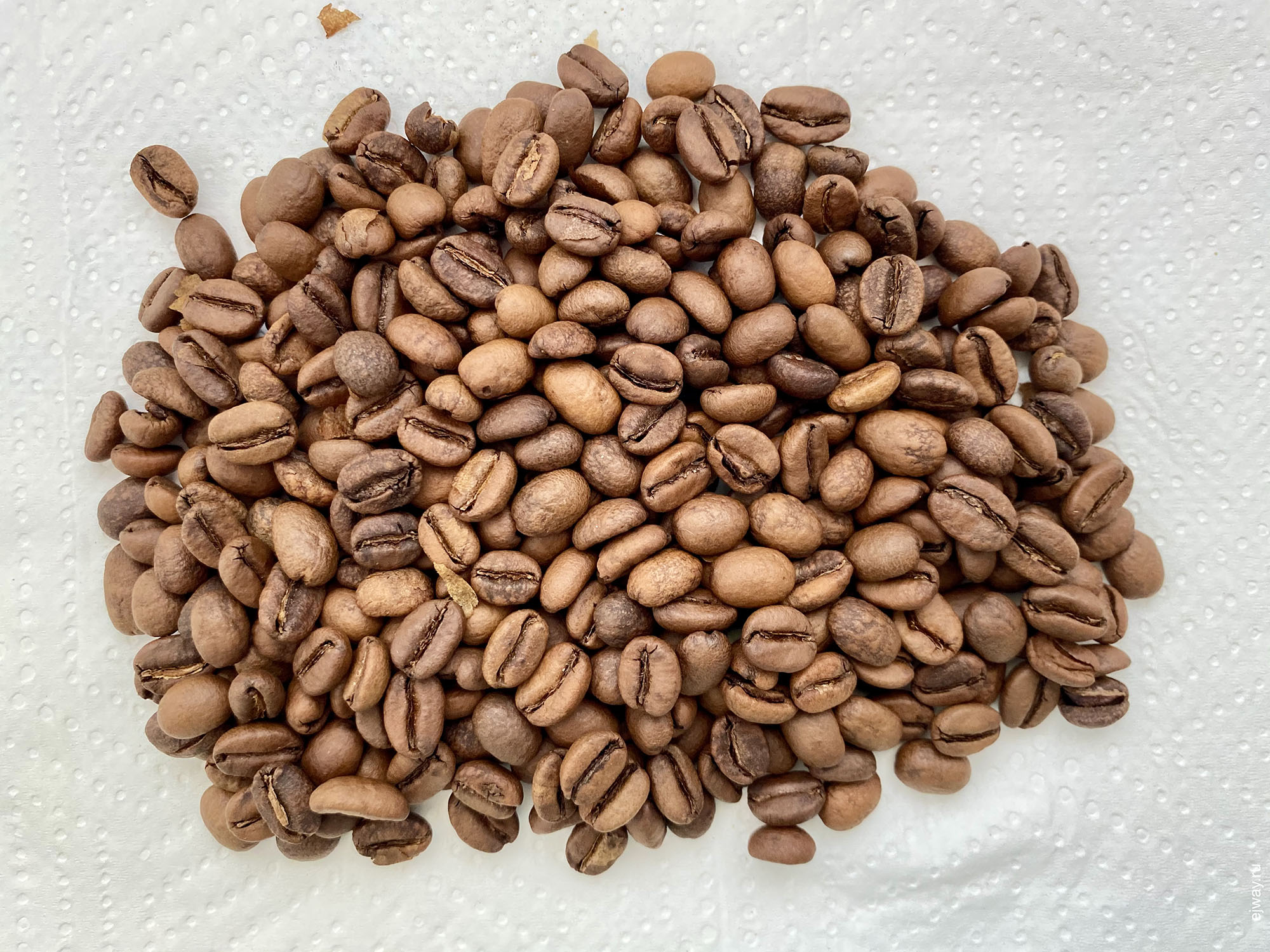 Италия, Канделю, кофе, ejway.ru, Burundi. Kalico. Caffettin, зерна