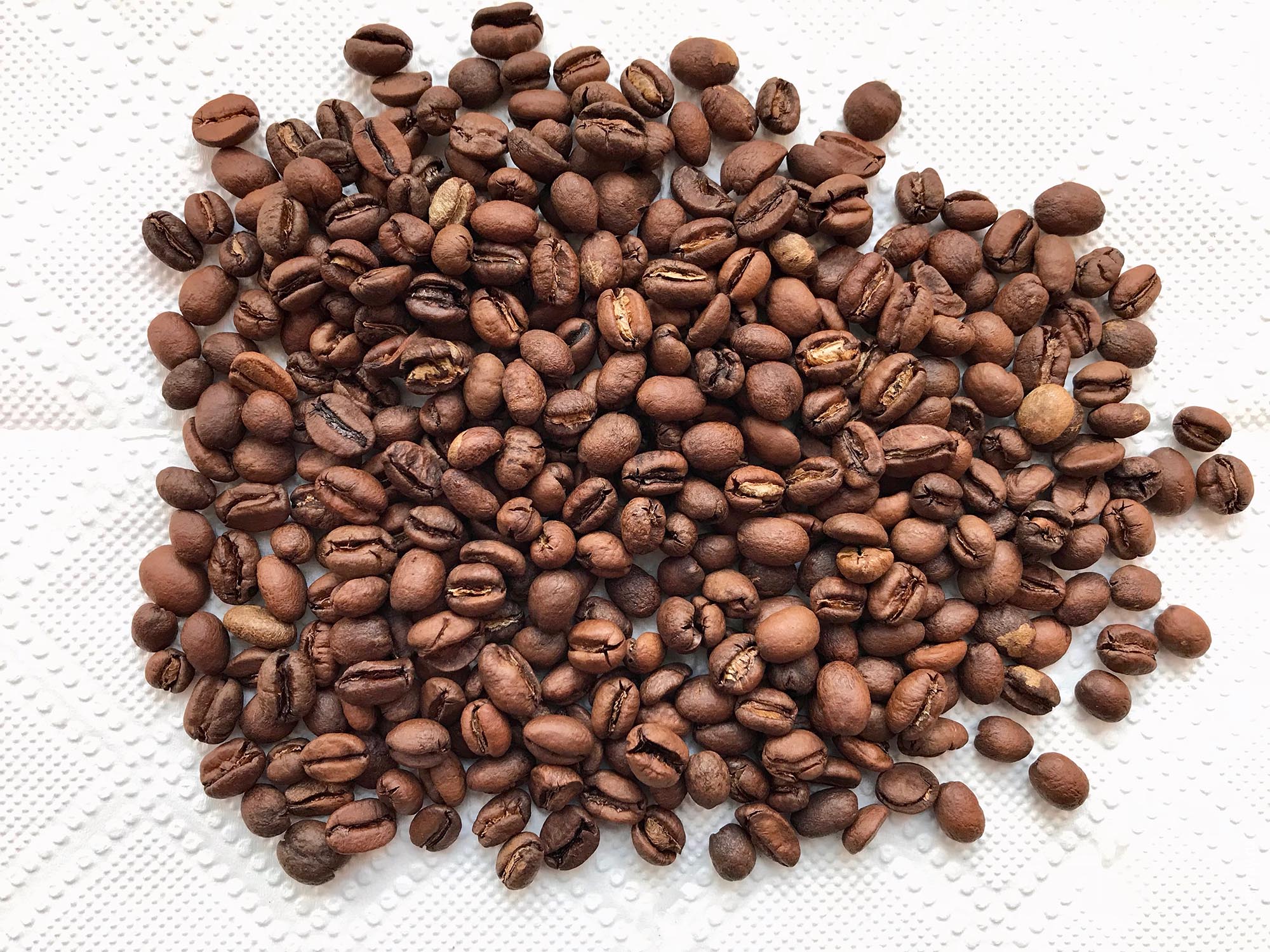 Россия, Москва, Brazil Peaberry. Surf coffee, ejway.ru, зерна
