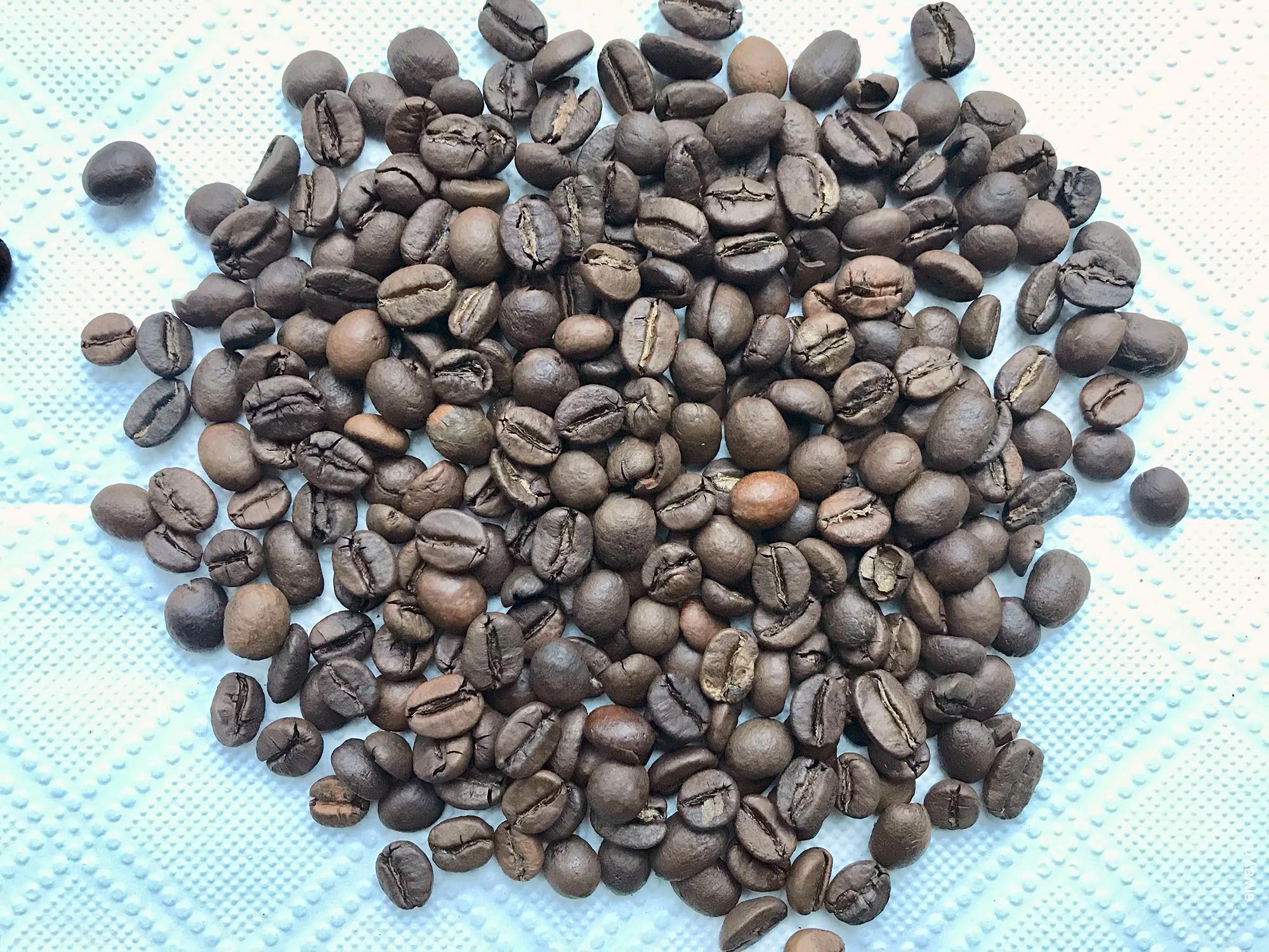 Россия, Москва, Classic Lalibela Coffee, ejway.ru, зерна